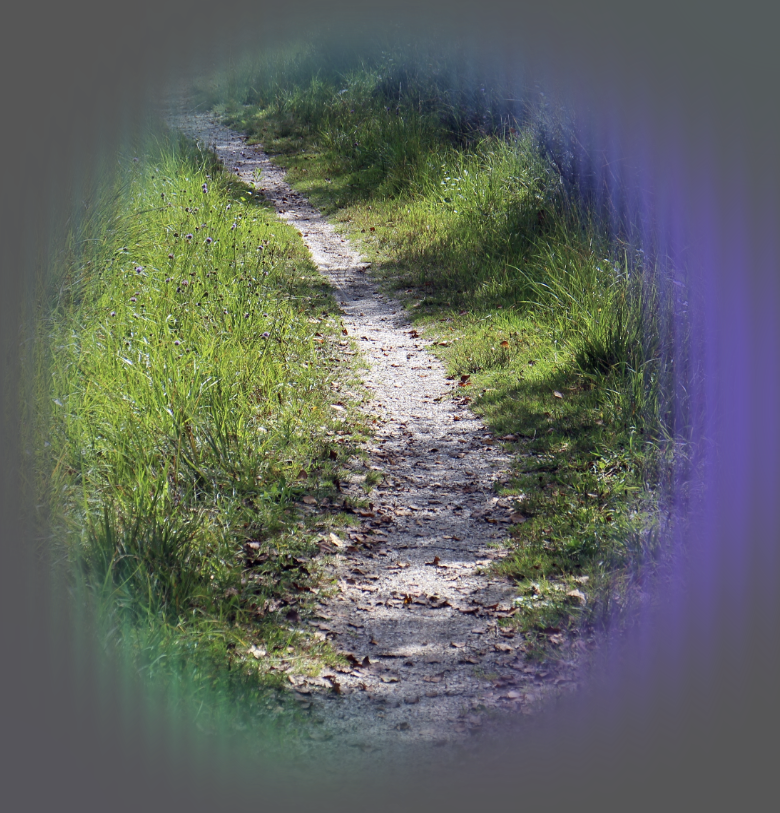 The Path of the Just, Reading Your Bible